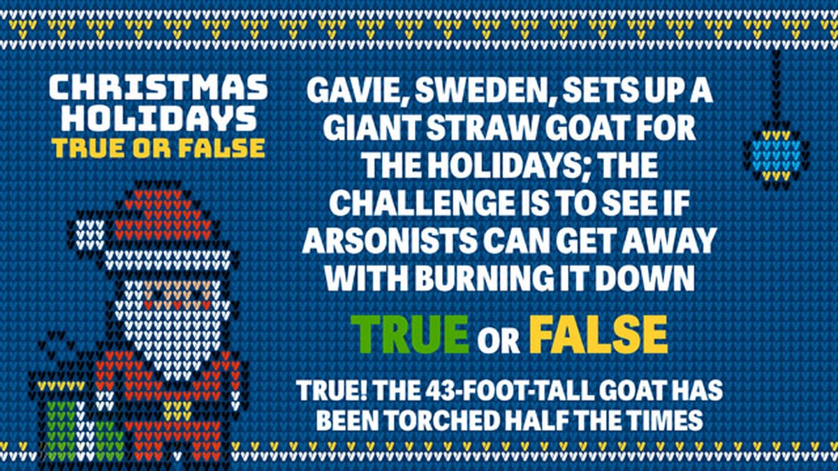 Christmas Holidays True or False image number null